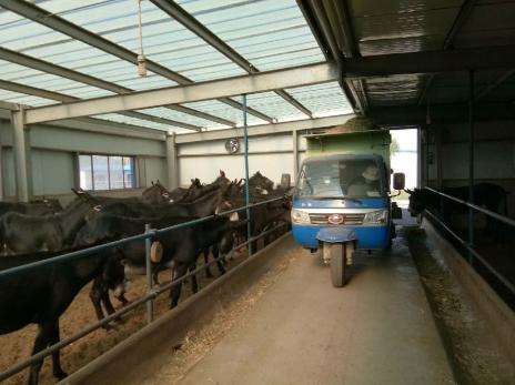 撒料車在驢場中的應(yīng)用